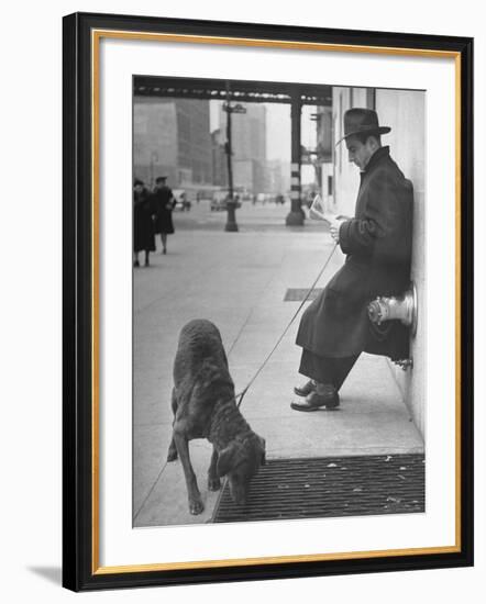 Sportscaster Bill Stern Reading Newspaper as Chesapeake Bay Retriever Sniff a Sidewalk-Nina Leen-Framed Premium Photographic Print