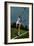 Sportswoman, 2009-Sara Hayward-Framed Giclee Print