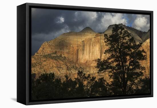 Spot light on Zion-Ken Archer-Framed Premier Image Canvas