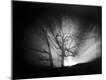 Photographic Print