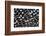 Spots of White on Mearns Quails Feather Design-Darrell Gulin-Framed Photographic Print