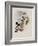 Spotted Adelomyia, Adelomyia Maculata-John Gould-Framed Giclee Print