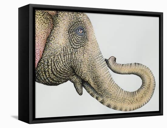 Spotted Asian Elephant 2-Michelle Faber-Framed Premier Image Canvas