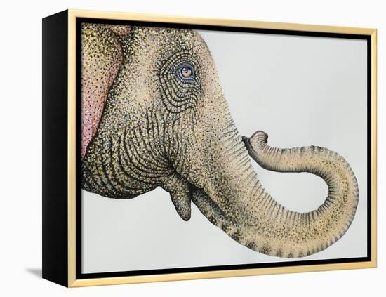 Spotted Asian Elephant 2-Michelle Faber-Framed Premier Image Canvas