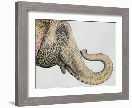 Spotted Asian Elephant 2-Michelle Faber-Framed Giclee Print