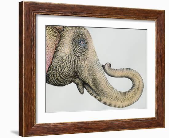 Spotted Asian Elephant 2-Michelle Faber-Framed Giclee Print