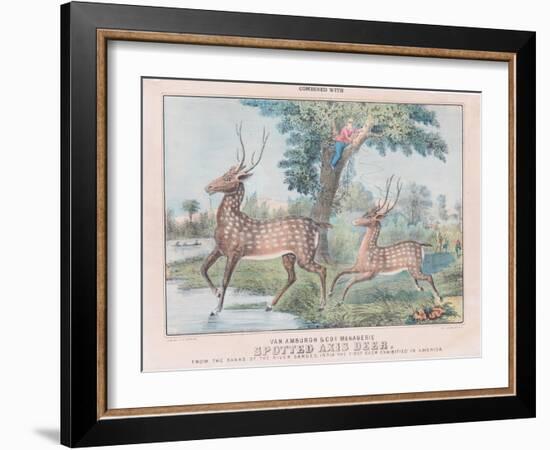 Spotted Axis Deer-T. W. Strong-Framed Giclee Print