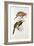 Spotted Bill Aracari-Edward Lear-Framed Giclee Print