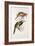 Spotted Bill Aracari-Edward Lear-Framed Giclee Print