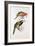 Spotted Bill Aracari-Edward Lear-Framed Giclee Print