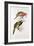 Spotted Bill Aracari-Edward Lear-Framed Giclee Print