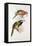 Spotted Bill Aracari-Edward Lear-Framed Premier Image Canvas