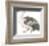 Spotted Billed Duck-Maria Mendez-Framed Giclee Print