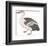 Spotted Billed Duck-Maria Mendez-Framed Giclee Print