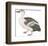 Spotted Billed Duck-Maria Mendez-Framed Giclee Print