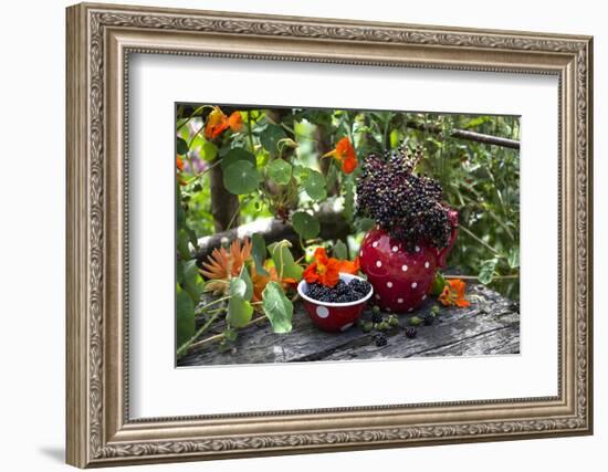 Spotted Crockery and Berries on Old Garden Bench-Andrea Haase-Framed Photographic Print