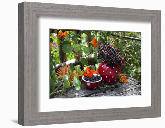 Spotted Crockery and Berries on Old Garden Bench-Andrea Haase-Framed Photographic Print