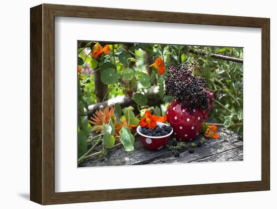 Spotted Crockery and Berries on Old Garden Bench-Andrea Haase-Framed Photographic Print