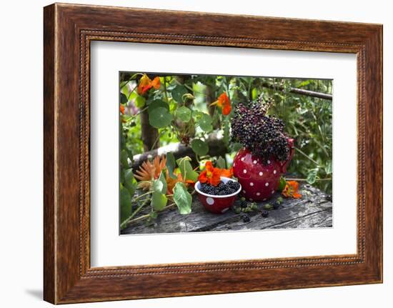 Spotted Crockery and Berries on Old Garden Bench-Andrea Haase-Framed Photographic Print