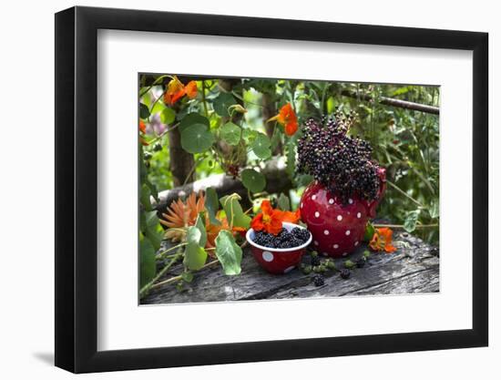 Spotted Crockery and Berries on Old Garden Bench-Andrea Haase-Framed Photographic Print