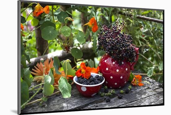 Spotted Crockery and Berries on Old Garden Bench-Andrea Haase-Mounted Photographic Print