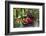 Spotted Crockery and Berries on Old Garden Bench-Andrea Haase-Framed Photographic Print