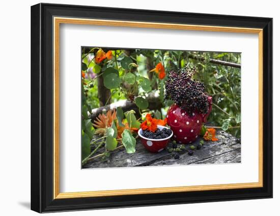 Spotted Crockery and Berries on Old Garden Bench-Andrea Haase-Framed Photographic Print