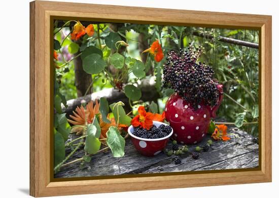 Spotted Crockery and Berries on Old Garden Bench-Andrea Haase-Framed Premier Image Canvas