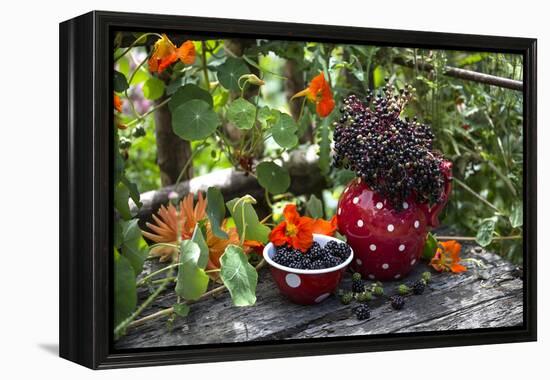 Spotted Crockery and Berries on Old Garden Bench-Andrea Haase-Framed Premier Image Canvas