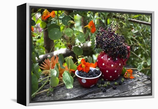 Spotted Crockery and Berries on Old Garden Bench-Andrea Haase-Framed Premier Image Canvas