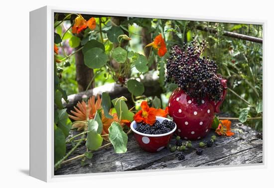 Spotted Crockery and Berries on Old Garden Bench-Andrea Haase-Framed Premier Image Canvas