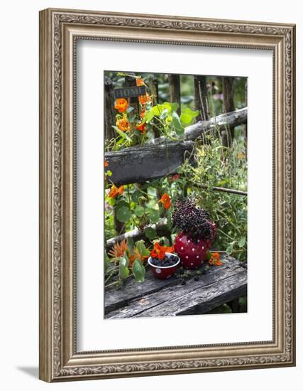 Spotted Crockery and Berries on Old Garden Bench-Andrea Haase-Framed Photographic Print