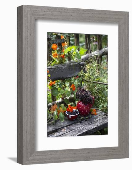 Spotted Crockery and Berries on Old Garden Bench-Andrea Haase-Framed Photographic Print