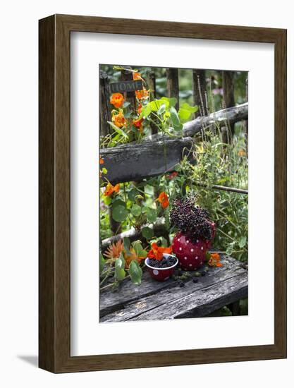 Spotted Crockery and Berries on Old Garden Bench-Andrea Haase-Framed Photographic Print