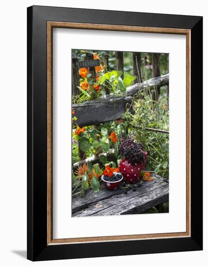 Spotted Crockery and Berries on Old Garden Bench-Andrea Haase-Framed Photographic Print