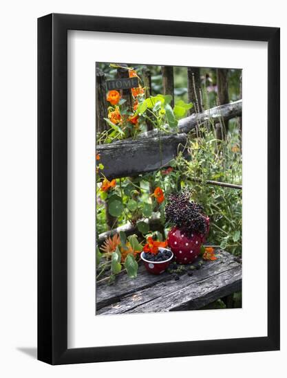 Spotted Crockery and Berries on Old Garden Bench-Andrea Haase-Framed Photographic Print