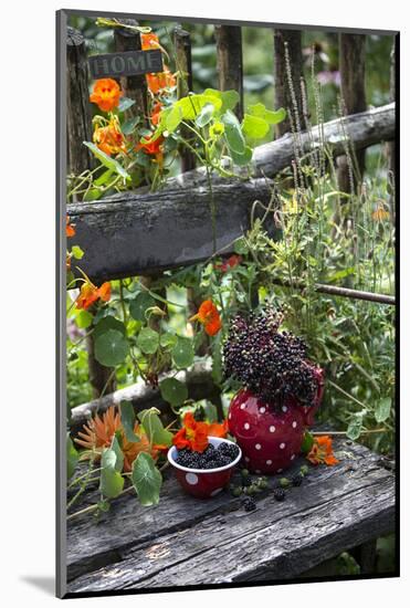 Spotted Crockery and Berries on Old Garden Bench-Andrea Haase-Mounted Photographic Print