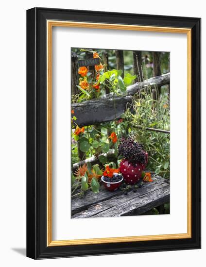 Spotted Crockery and Berries on Old Garden Bench-Andrea Haase-Framed Photographic Print