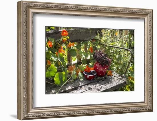 Spotted Dishes with Berries and Blossoms on Old Garden Bench-Andrea Haase-Framed Photographic Print