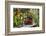 Spotted Dishes with Berries and Blossoms on Old Garden Bench-Andrea Haase-Framed Photographic Print