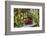 Spotted Dishes with Berries and Blossoms on Old Garden Bench-Andrea Haase-Framed Photographic Print