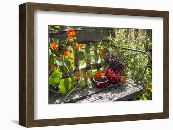 Spotted Dishes with Berries and Blossoms on Old Garden Bench-Andrea Haase-Framed Photographic Print