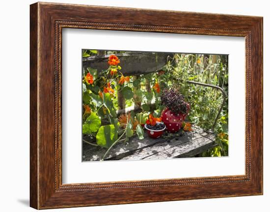 Spotted Dishes with Berries and Blossoms on Old Garden Bench-Andrea Haase-Framed Photographic Print