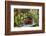 Spotted Dishes with Berries and Blossoms on Old Garden Bench-Andrea Haase-Framed Photographic Print