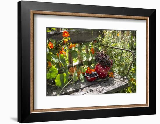 Spotted Dishes with Berries and Blossoms on Old Garden Bench-Andrea Haase-Framed Photographic Print