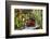 Spotted Dishes with Berries and Blossoms on Old Garden Bench-Andrea Haase-Framed Photographic Print