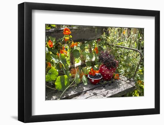 Spotted Dishes with Berries and Blossoms on Old Garden Bench-Andrea Haase-Framed Photographic Print