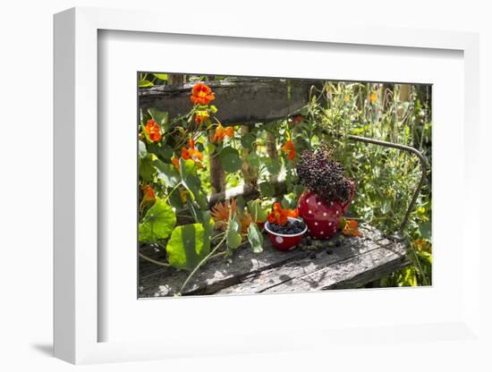 Spotted Dishes with Berries and Blossoms on Old Garden Bench-Andrea Haase-Framed Photographic Print