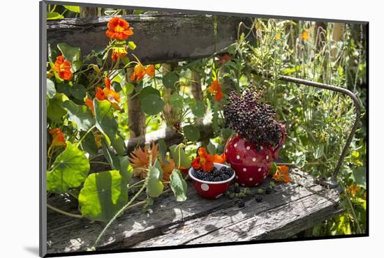 Spotted Dishes with Berries and Blossoms on Old Garden Bench-Andrea Haase-Mounted Photographic Print