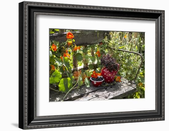 Spotted Dishes with Berries and Blossoms on Old Garden Bench-Andrea Haase-Framed Photographic Print